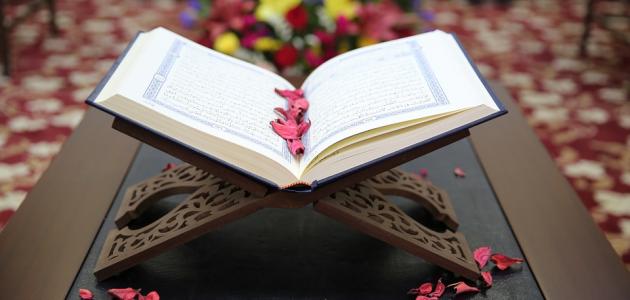 حفظ القرآن وترتيله2