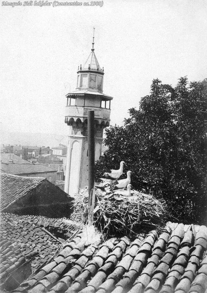 مواريث